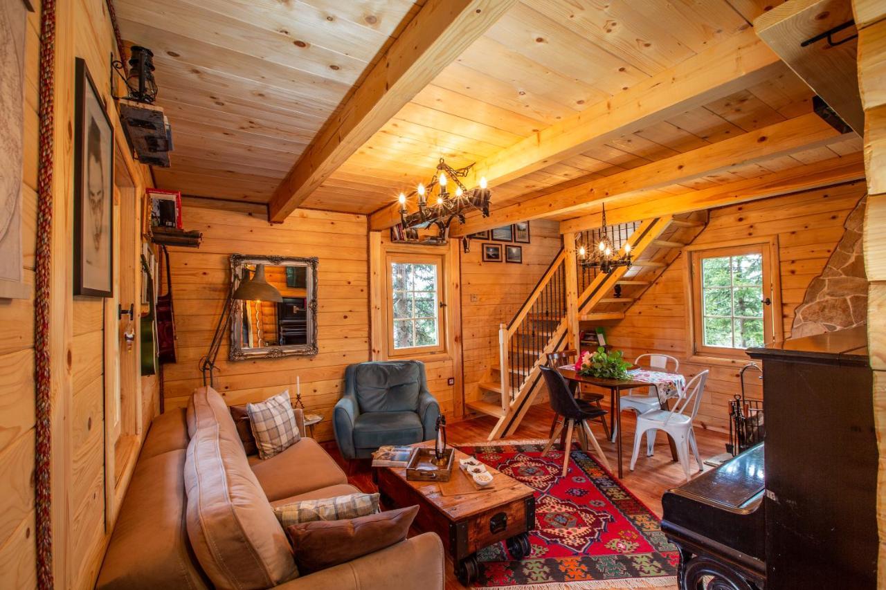 Villa Piccolo Orso Žabljak Kültér fotó