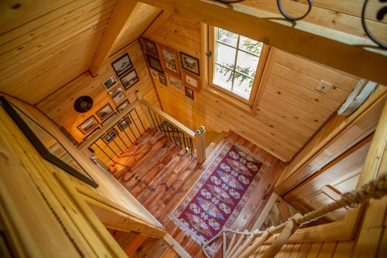 Villa Piccolo Orso Žabljak Kültér fotó